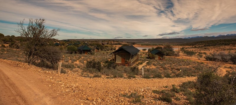 Safari Lodge