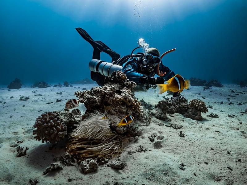 Snorkeling